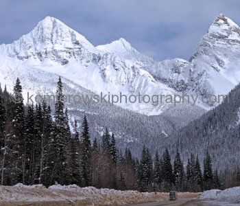 West of RogersPass-on the way to Revelstoke (view eastbound towards Rogers Pass). Weather-late March.