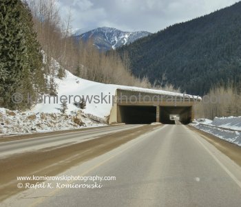 West of Rogers Pass-on the way to Revelstoke (view eastbound towards Roger Pass). Weather-late March