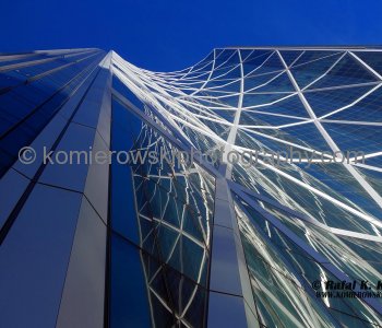 The Bow-downtown, December 15, 2013