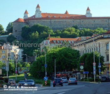 Brno-Castle, Slovakia