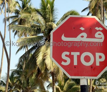 Stop sign,   Salalah, Dhofar, Sultanate of Oman