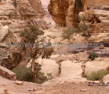 View of Amazing Geology on the way back from the Monastery to village of Petra, Jordan