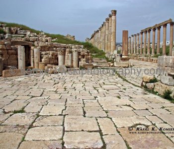 Street of Columns and the two streets crossing it at the North and South Tetrapylons.