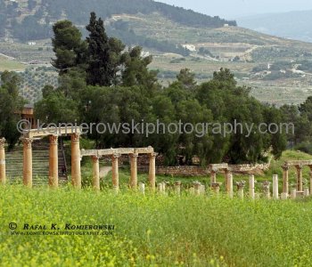 View (image from) of the ancient the Greco-Roman city of Gerasa, Jerash, Jordan