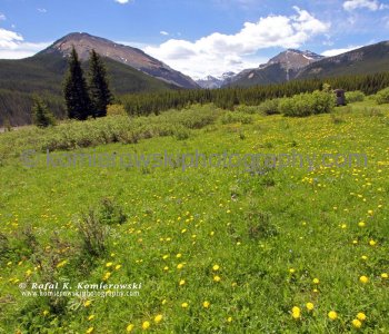East Slopes of the Canadian Rockies viewed from  Powderface Trail near Canyon Creek, Kananaskis Country, Alberta