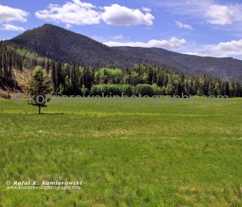 Sibald Flats between Powderface Trail and Sibald Flats Trail (Hwy. 68), Kananaskis Country, Alberta