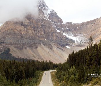 Highway No. 93, north of Hector Lake, Banff National Park, Alberta, Icefields Parkway- Canadas most scenic mountain roadway