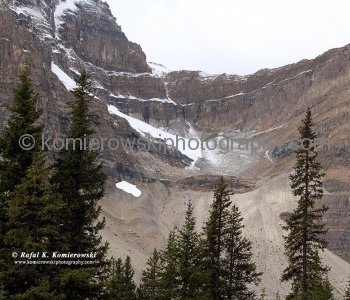 Part of Crowfoot Glacier, Banff National Park, Alberta, Icefields Parkway- Canadas most scenic mountain roadway