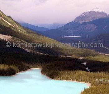 Peyto Lake, Banff National Park, Alberta, Icefields Parkway- Canadas most scenic mountain roadway