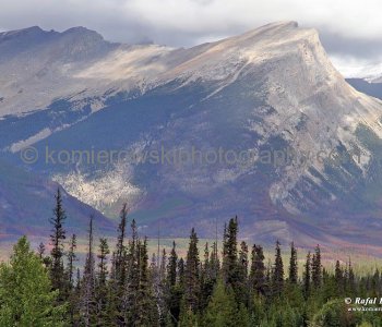 Mt. Wilson near North Saskatchewan River, Banff National Park, Alberta, Icefields Parkway- Canadas most scenic mountain roadway