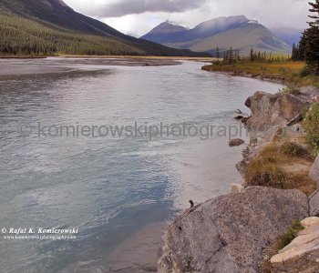 North Saskatchewan River near Arctomys Creek, Banff National Park, Alberta, Icefields Parkway- Canadas most scenic mountain roadway