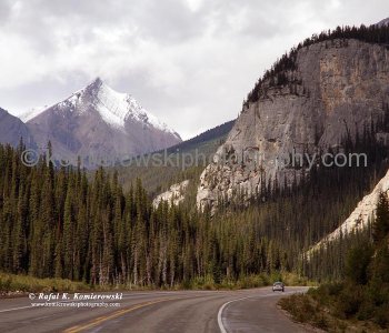 Highway No. 93, north of North Saskatchewan River, Banff National Park, Alberta, Icefields Parkway- Canadas most scenic mountain roadway