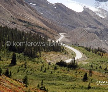 Road to Athabasca Galcier (Columbia Icefield)  next to Morena, Jasper National Park, Alberta, Icefields Parkway- Canadas most scenic mountain roadway
